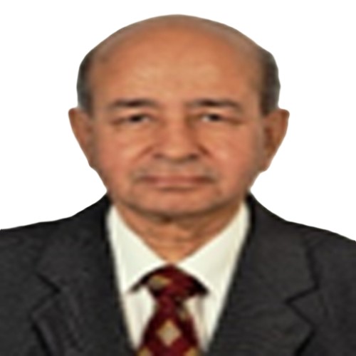 Arun P Mull